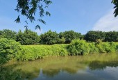 Bán mảnh đất xã Tràng Lương 30000m trồng cây lâu năm mặt đường Tâm linh Ngọa Vân Yên Tử Nhỉnh 1 tỷ